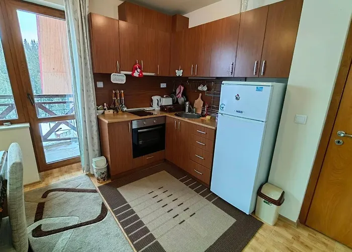 Apartment Love Pamporovo 아파트